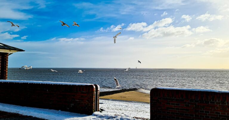 Manchmal reicht ein Blick aufs Meer, um zu wissen, wo man hingehört.