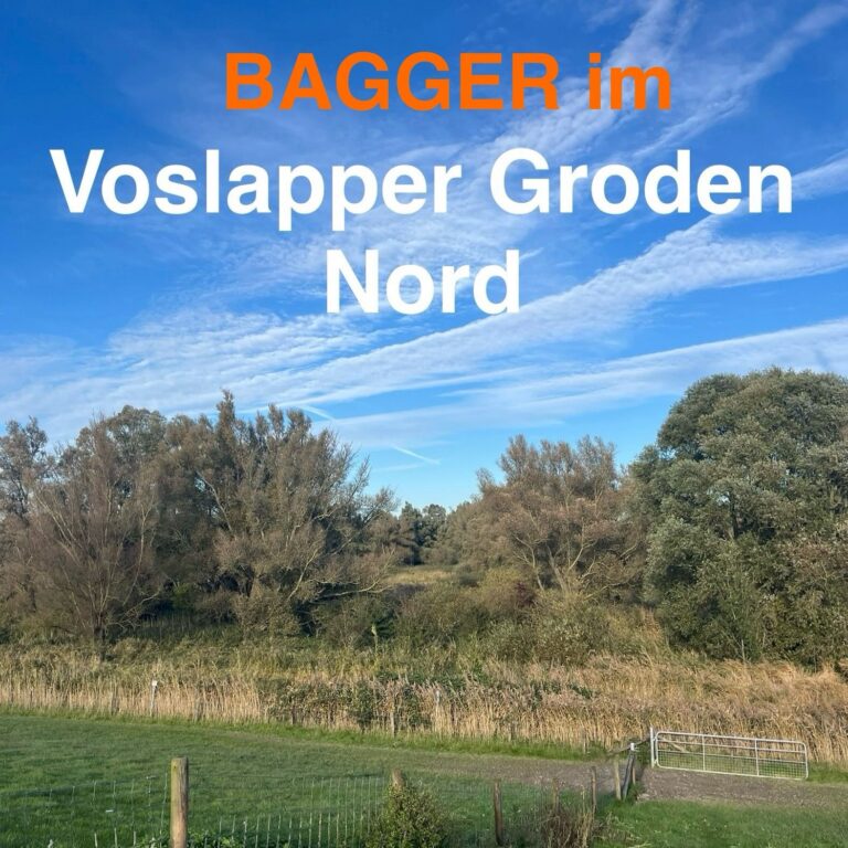 Beginn von Arbeiten im Bereich Voslapper Groden Nord – Kritik an fehlender Information