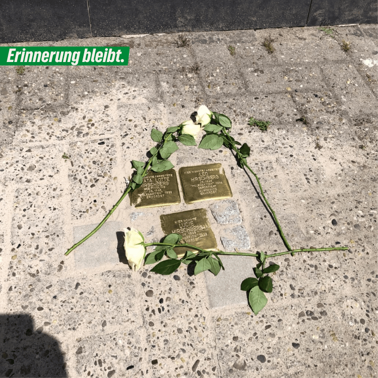 Drei Stolpersteine der Familie Hirschberg in Wilhelmshaven liegen auf dem Gehweg, umgeben von weißen Rosen. Oben links steht auf einem grünen Banner der Schriftzug „Erinnerung bleibt.“ Das Bild entstand vor dem Gedenkgang zum Diebstahl der Stolpersteine.